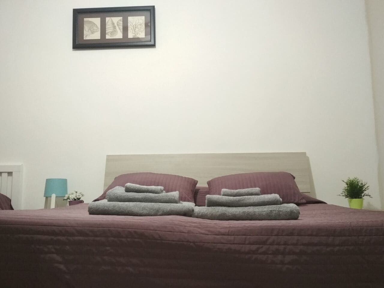 Start-Line Airport Pisa Bed & Breakfast Bagian luar foto